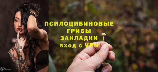 МДПВ Михайлов