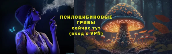 МДПВ Михайлов