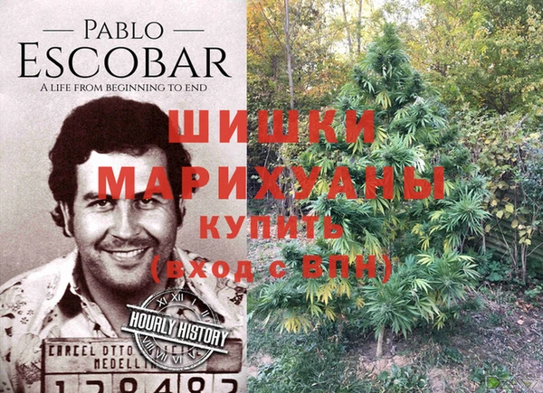 МДПВ Михайлов