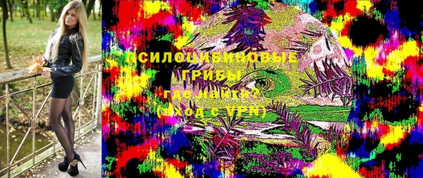 МДПВ Михайлов